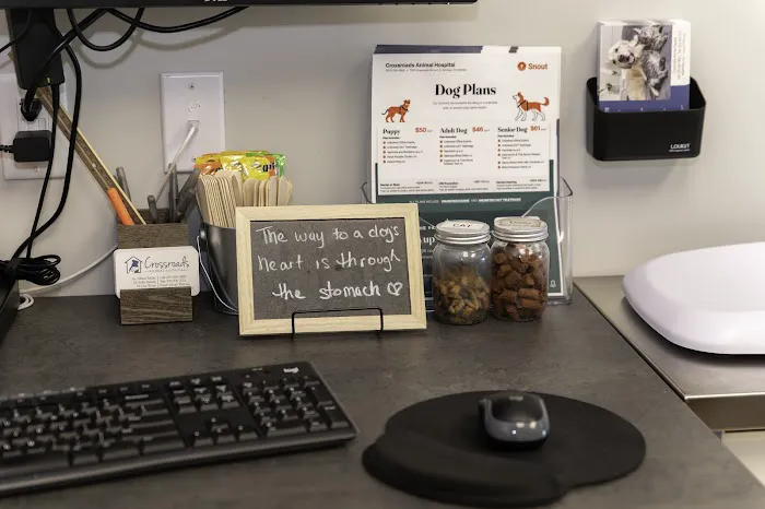 Crossroads Animal Hospital Picture 7