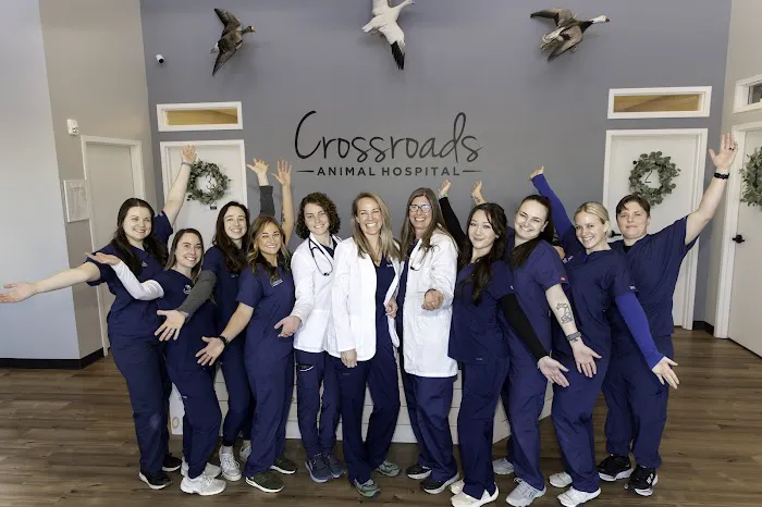 Crossroads Animal Hospital Picture 5