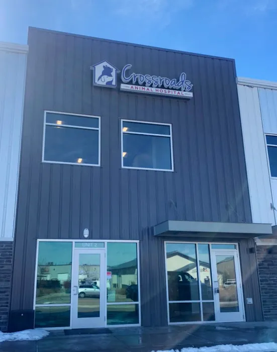 Crossroads Animal Hospital Picture 9