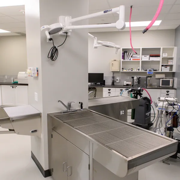 Crossroads Animal Hospital Picture 10