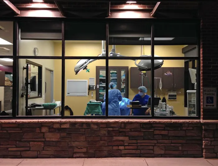 Four Seasons Veterinary Specialists Picture 3