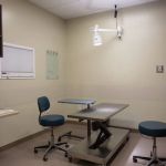 Four Seasons Veterinary Specialists
