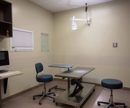 Four Seasons Veterinary Specialists
