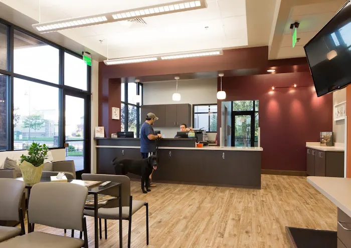 Four Seasons Veterinary Specialists Picture 9
