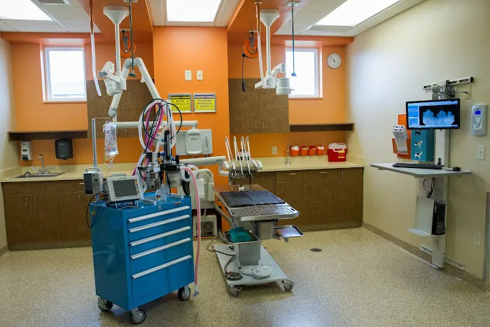 The Meadows Veterinary Center Picture 8