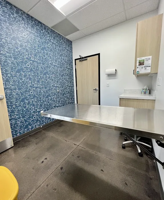 Royal Vista Veterinary Specialists Picture 9