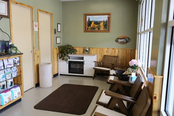 The Vets Animal Hospital Picture 4
