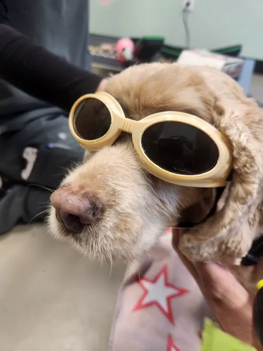 Pickaroon Animal Hospital Picture 2