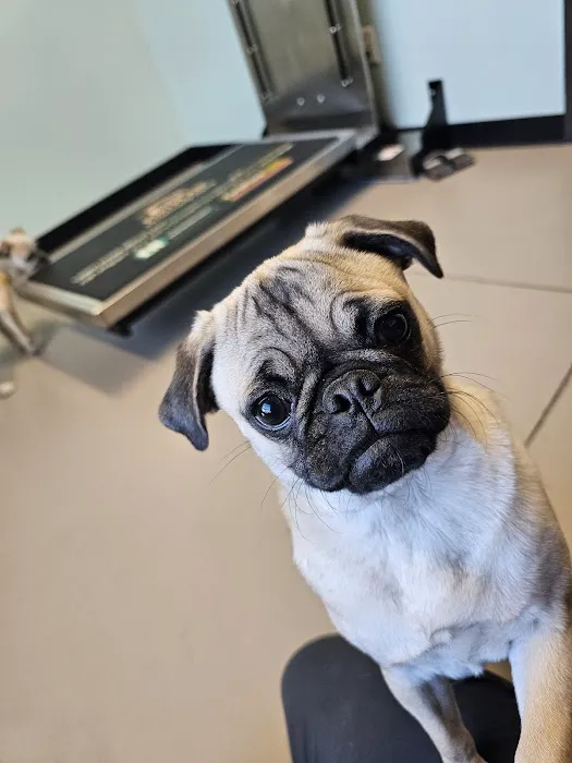 Pickaroon Animal Hospital Picture 5