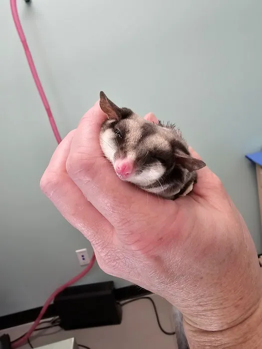 Pickaroon Animal Hospital Picture 7