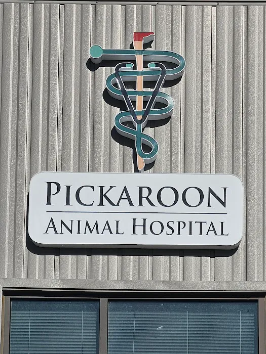 Pickaroon Animal Hospital Picture 10