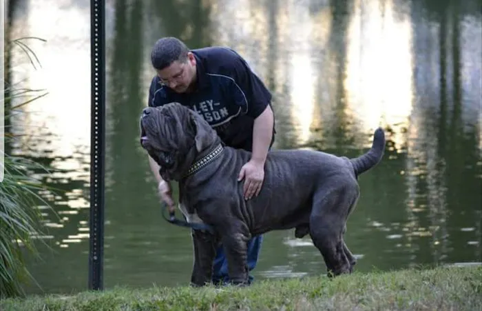 Vetco Total Care Animal Hospital Picture 4