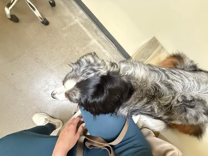 Vetco Total Care Animal Hospital Picture 5