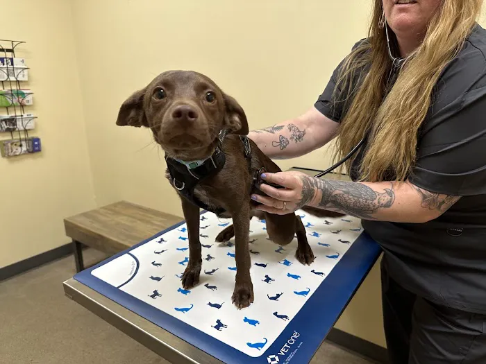 Vetco Total Care Animal Hospital Picture 7