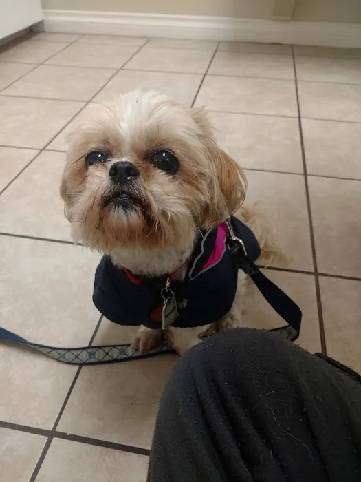 Highland Hills Pet Hospital Picture 2