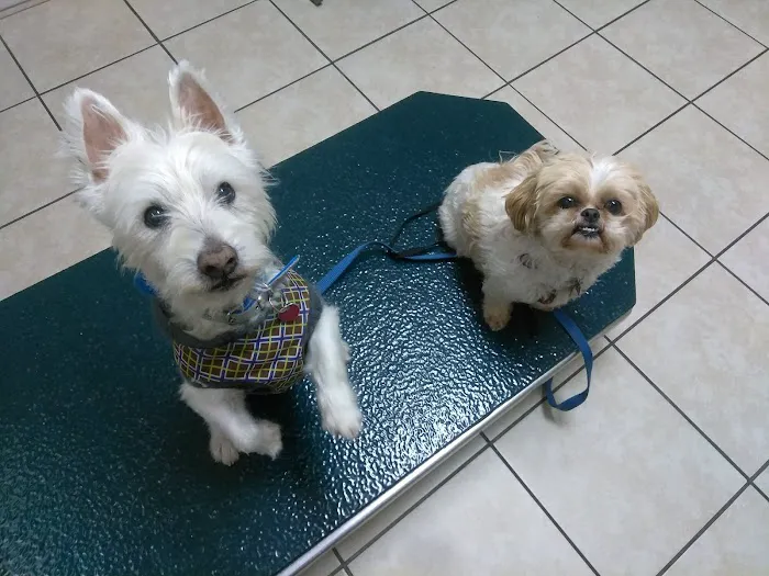 Highland Hills Pet Hospital Picture 1