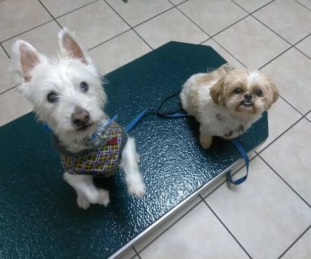 Highland Hills Pet Hospital