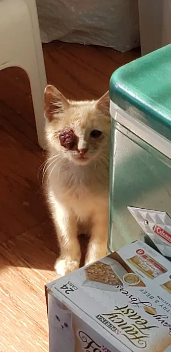 Highland Hills Pet Hospital Picture 8