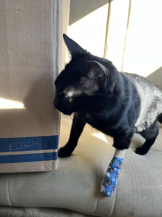 PETS Emergency Hospital, A Thrive Pet Healthcare Partner Picture 2