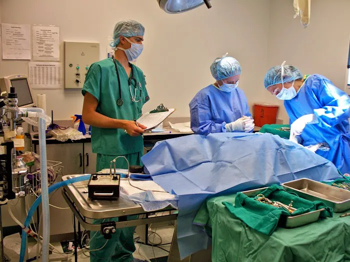 PETS Emergency Hospital, A Thrive Pet Healthcare Partner Picture 3