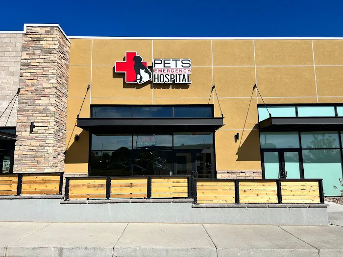 PETS Emergency Hospital, A Thrive Pet Healthcare Partner Picture 10