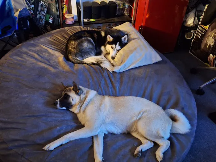 Banfield Pet Hospital Picture 2