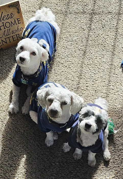 Banfield Pet Hospital Picture 9