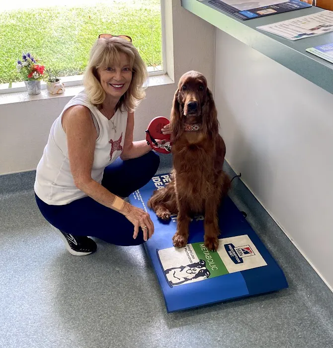 Oak Animal Hospital Picture 1