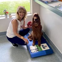 Oak Animal Hospital ico