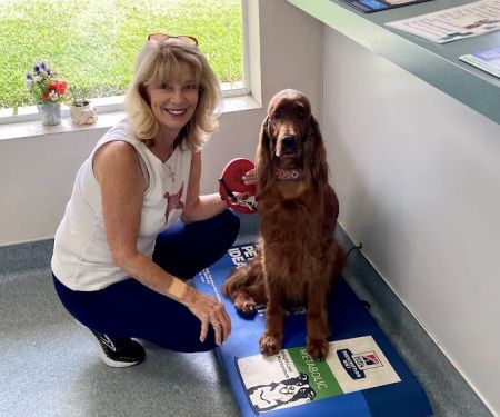 Oak Animal Hospital