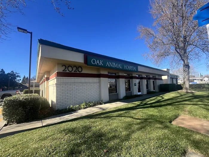 Oak Animal Hospital Picture 6