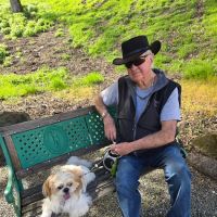 Alamo Animal Hospital ico