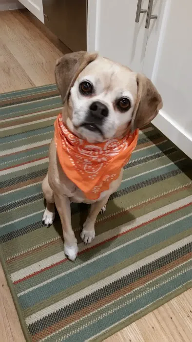 Alamo Animal Hospital Picture 4
