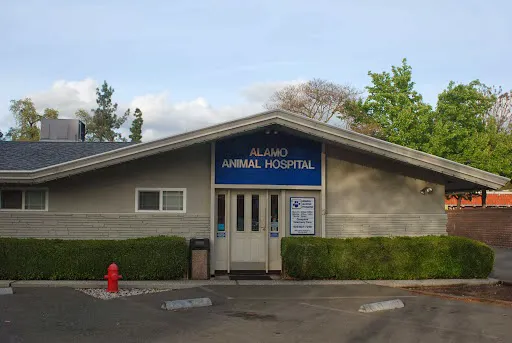 Alamo Animal Hospital Picture 2