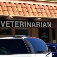 Sexton Veterinary Clinic ico