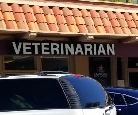Sexton Veterinary Clinic