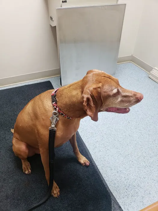 Berrien Veterinary Services Picture 8