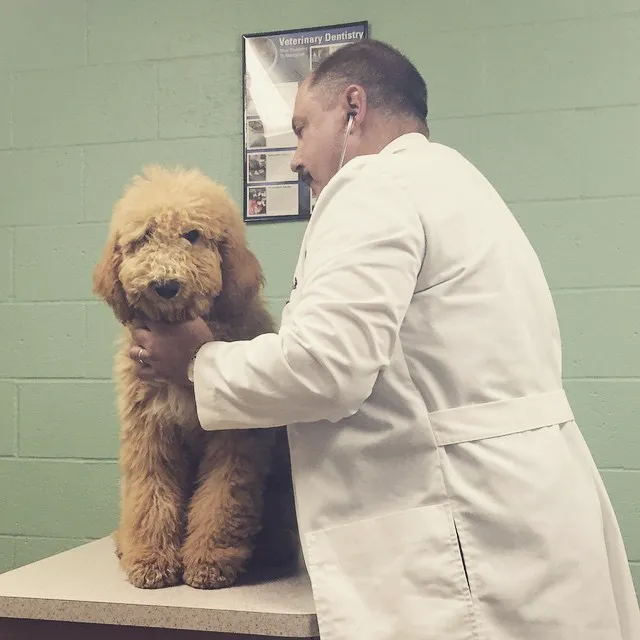 Sunset Coast Veterinary Clinic Picture 6