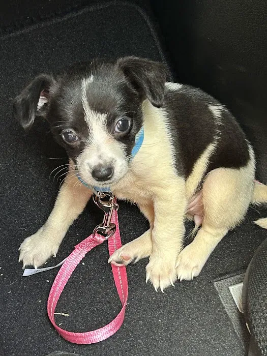 Nickerson Animal Health Center Picture 1