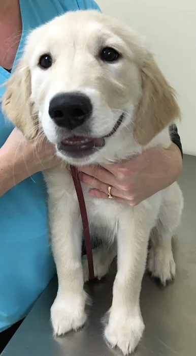 St Joseph Animal Wellness Clinic, PC Picture 6