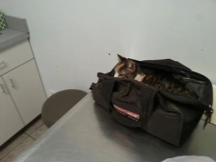 Ani-Med Animal Health Care Picture 6