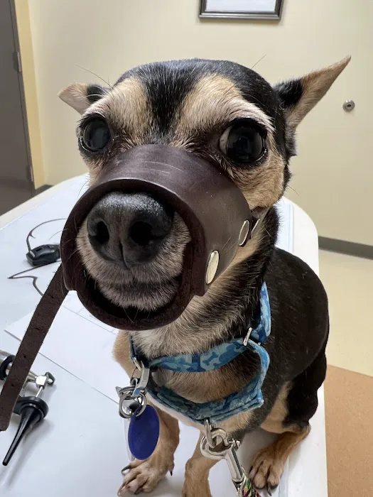 Roseland Animal Hospital Picture 1
