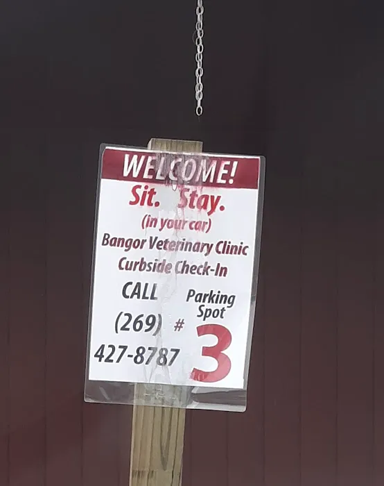 Bangor Veterinary Clinic Picture 2