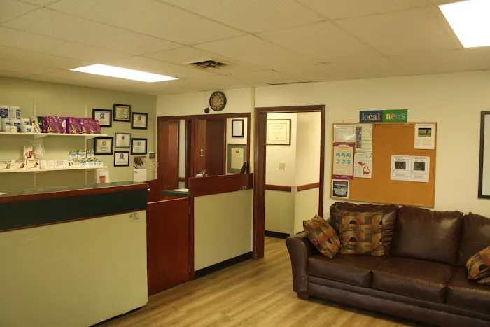 South Haven Animal Hospital Picture 6
