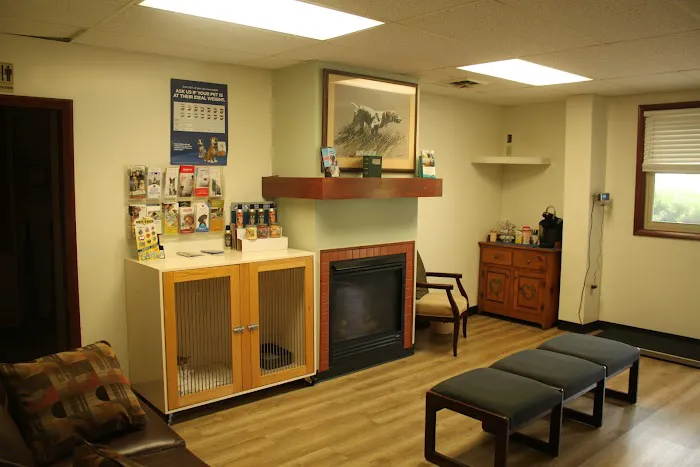 South Haven Animal Hospital Picture 4