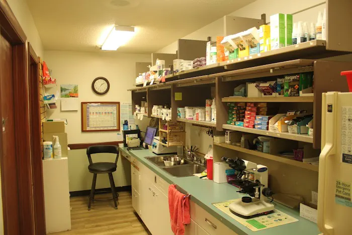South Haven Animal Hospital Picture 5