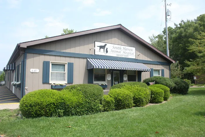 South Haven Animal Hospital Picture 7