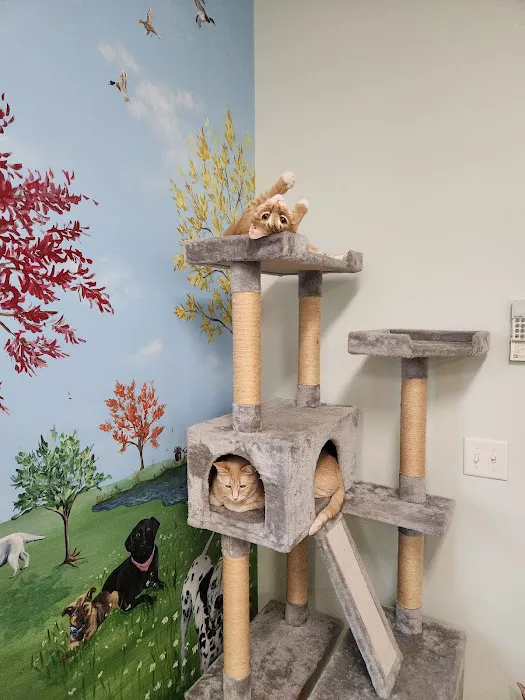 Phoenix Road Animal Hospital Picture 1