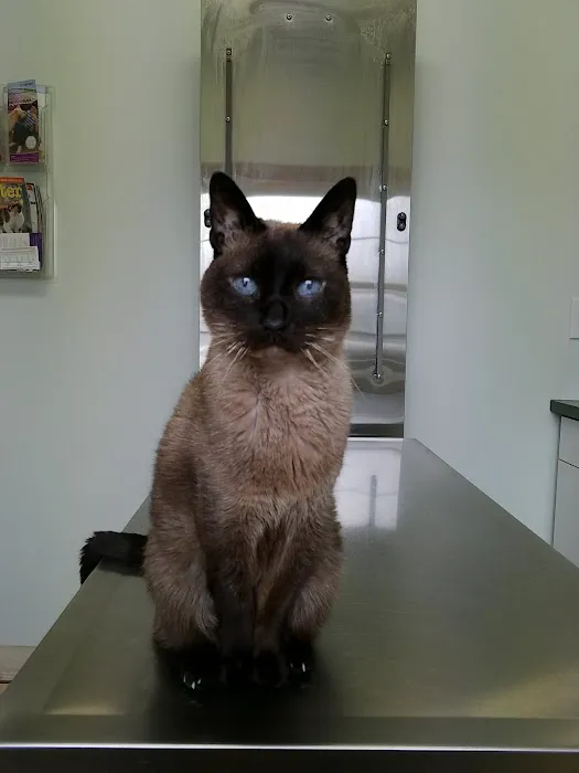 Phoenix Road Animal Hospital Picture 7