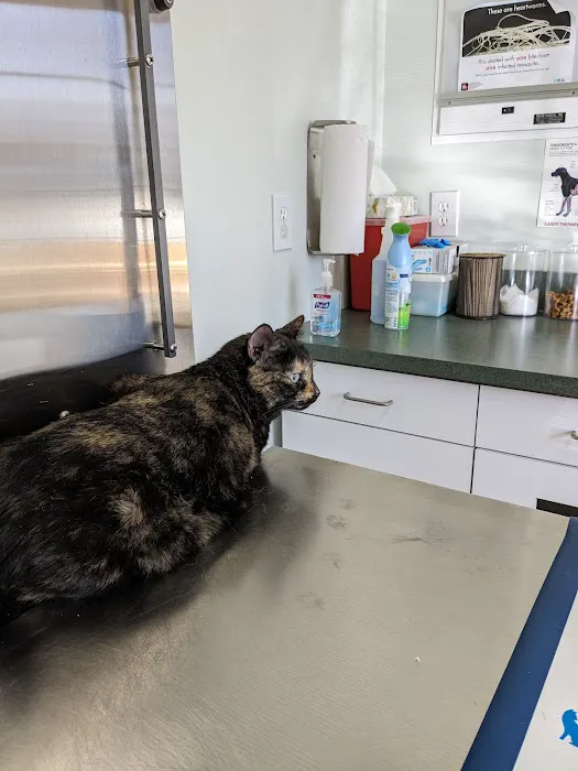 Phoenix Road Animal Hospital Picture 3